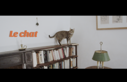 Déjeuner du Matin, Pauline Paris