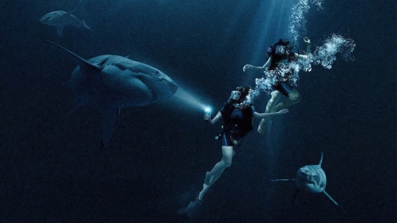 47 Meters Down Fin Du Film Spoiler BANDE DE REQUINS - EMBARQUEMENTS