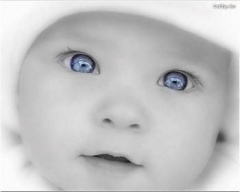 maternite-nice-echange-bebes-video-L-1.jpg