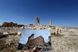palmyre,syrie,nationalité,déchéance,russie,ukraine,crimée