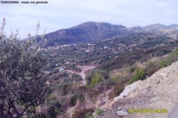 TIGROURINE-Stade 2012/photo 3