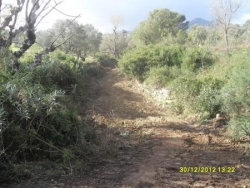 Piste IGHèWDHèNE-ZENAH-IRVAHèNE (TIGROURINE)-n°24