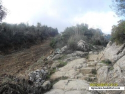 piste IGHèWDHèNE-ZENAH-IRVAHèNE (TIGROURINE)-n°10