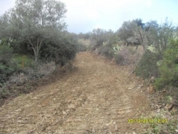 piste IGHèWDHèNE-ZENAH-IRVAHèNE (TIGROURINE)-n°13