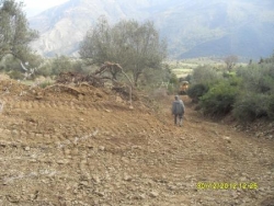 piste IGHèWDHèNE-ZENAH-IRVAHèNE (TIGROURINE)-n°11