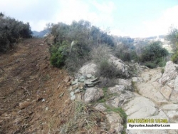 piste IGHèWDHèNE-ZENAH-IRVAHèNE (TIGROURINE)-n°8