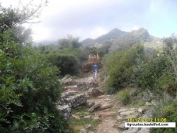 piste IGHèWDHèNE-ZENAH-IRVAHèNE (TIGROURINE)-n°1