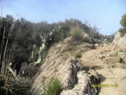 piste IGHèWDHèNE-ZENAH-IRVAHèNE (TIGROURINE)-n°5