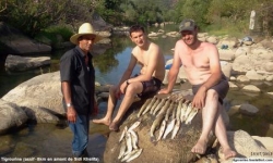 Assif (oued Youcef)- Tigrourine-Sidi Khelifa-n°19