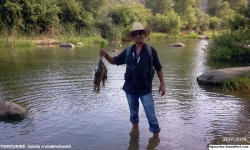 Assif (oued Youcef)- Tigrourine-Sidi Khelifa-n°13