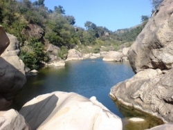 Assif (oued youcef)-Beniflik-Sidi khelifa-n°1