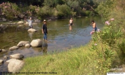 Assif (oued Youcef)- Tigrourine-Sidi Khelifa-n°18