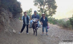 Assif (oued Youcef)- Tigrourine-Sidi Khelifa-n°16