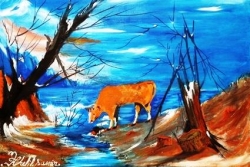 KHELIL Samir,artiste de TIFRIT(APC Akerrou)-photo3