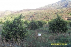 Paysage TIGROURINE 2012-n°9