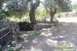 tigrourine 2012-thala maghdhira