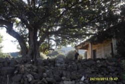 Paysage TIGROURINE 2012-n°7