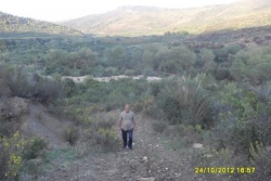 Paysage Tigrourine 2012-n°11