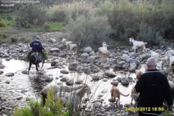 Paysages 2012-Tigrourine-AKERROU-AZEFFOUN-AIT CHAFAA