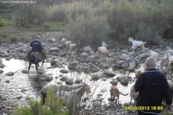 Paysage Tigrourine 2012assif -n°5