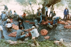 Personnages-photos anciennes-n°8