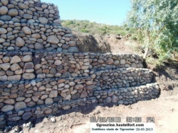 tade tigrourine-travaux gabillons -n°27