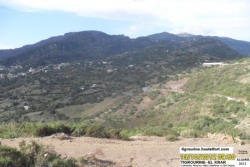 stade tigrourine-photo 35