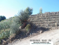 Stade tigrourine-travaux gabillons -n°32