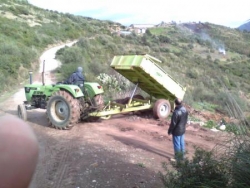stade tigrourine photo 45