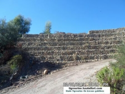 Stade tigrourine-travaux gabillons -n°31