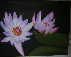 " Fleurs de Lotus "