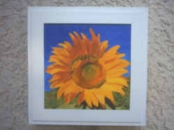 "Le tournesol"