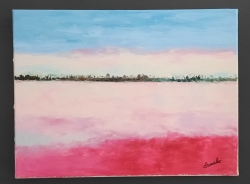 "Les salins en Camargue"