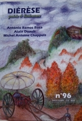 diérèse n°96,poésie,théorie littéraire,livres,citations,daniel martinez