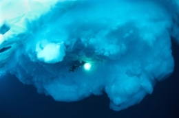 plongee arctique banquise.jpg