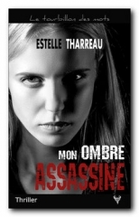 mon-ombre-assassine.jpg