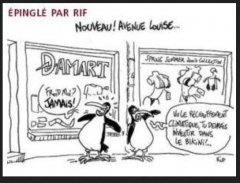 vive la vie !!!