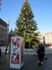 IMG_5799.JPG