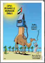 Capture d'écran 2023-12-03 151605.png