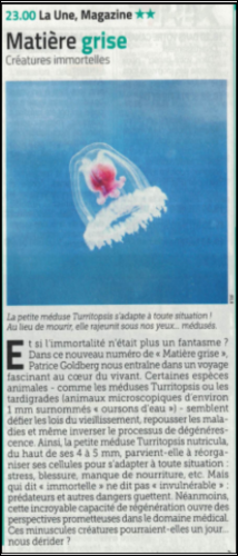 Capture d'écran 2025-11-12 161100.png