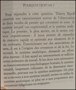 Capture d'écran 2025-12-07 095836.png