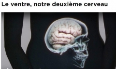 0.jpg