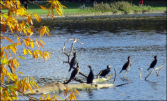 Capture d'écran 2025-11-02 131503.png