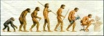 Suffixe varier evolution.jpg