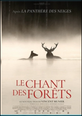 Capture d'écran 2026-02-05 170624.png