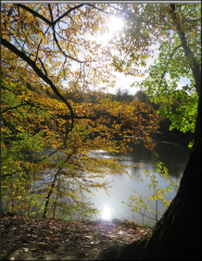 Capture d'écran 2025-11-02 131407.png