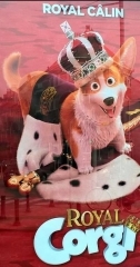 6.JPG