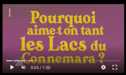 Capture d'écran 2023-09-08 212649.png