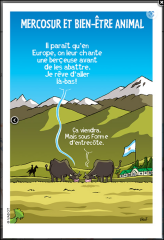 Capture d'écran 2024-03-29 160417.png
