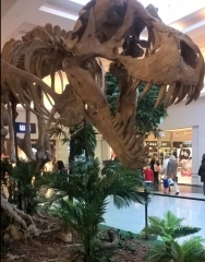 12.JPG